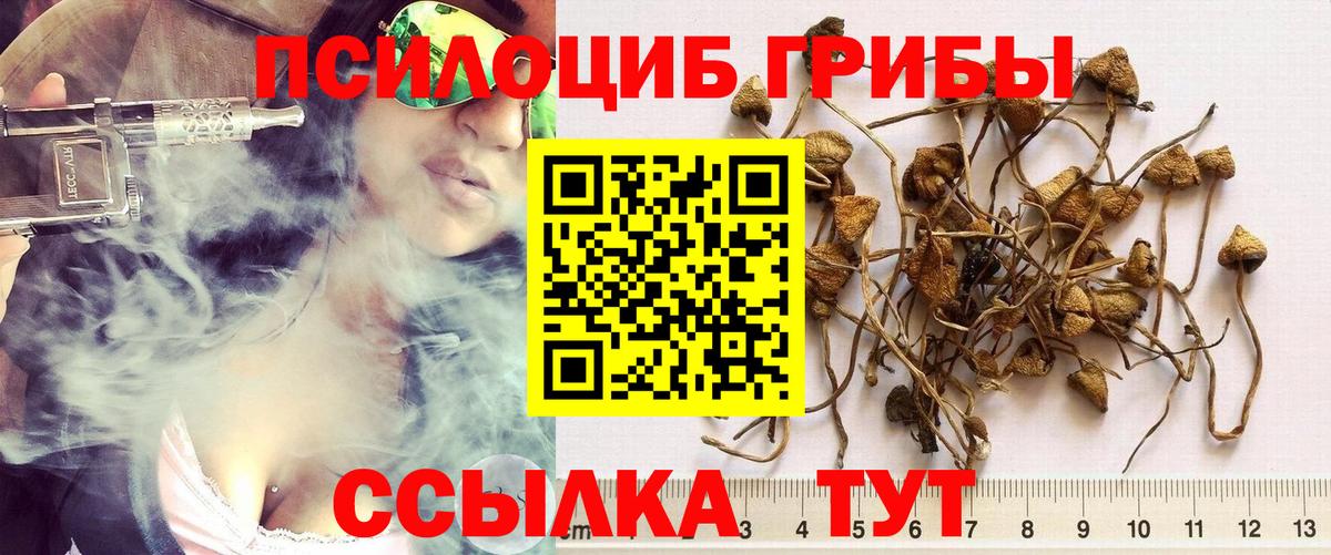 Кировск  Псилоцибиновые грибы ЛСД  Вход с VPN 