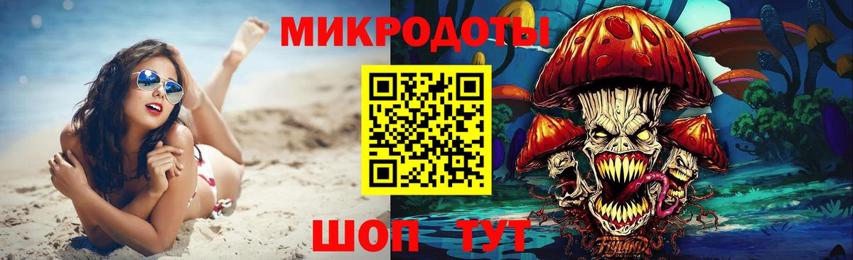 Галлюциногенные грибы Psilocybine cubensis Кировск